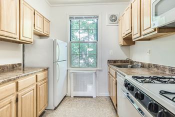 Apartment kitchen